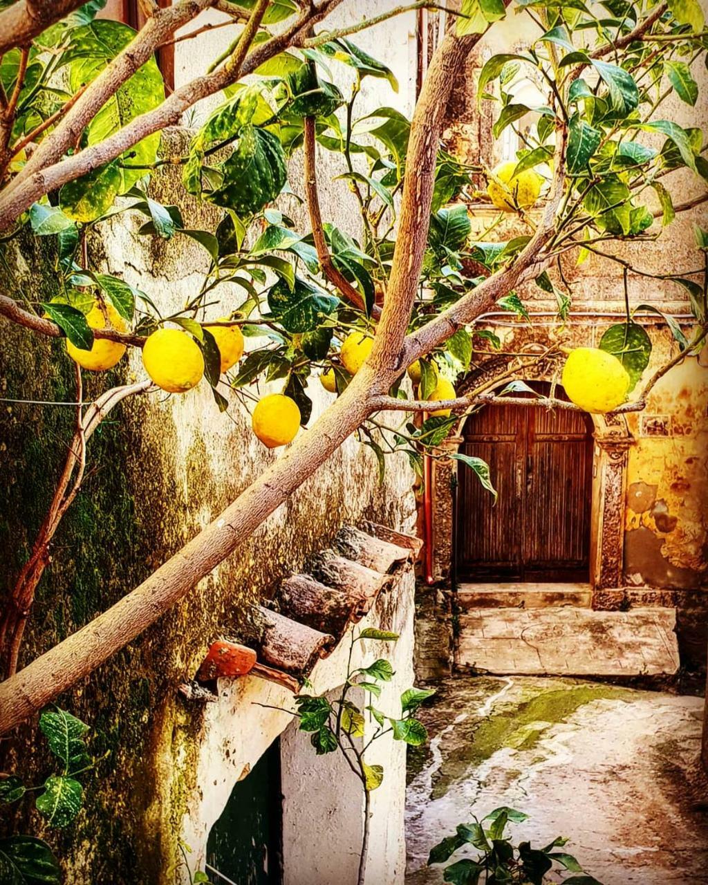 Casa Mazzone Bed & Breakfast Ciro Bagian luar foto